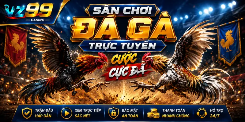 Sân chơi Đá Gà trực tuyến, Cược cực đã